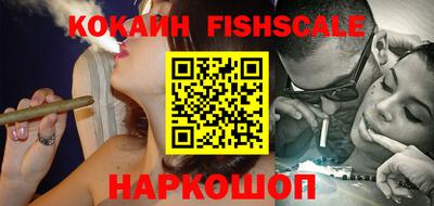шишки Заволжье