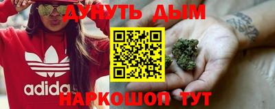 твердый Заводоуковск