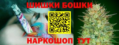 шишки Заволжье