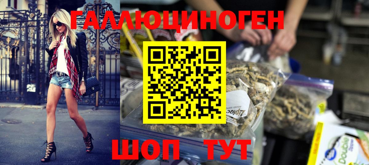 Галлюциногенные грибы Psilocybine cubensis Междуреченск
