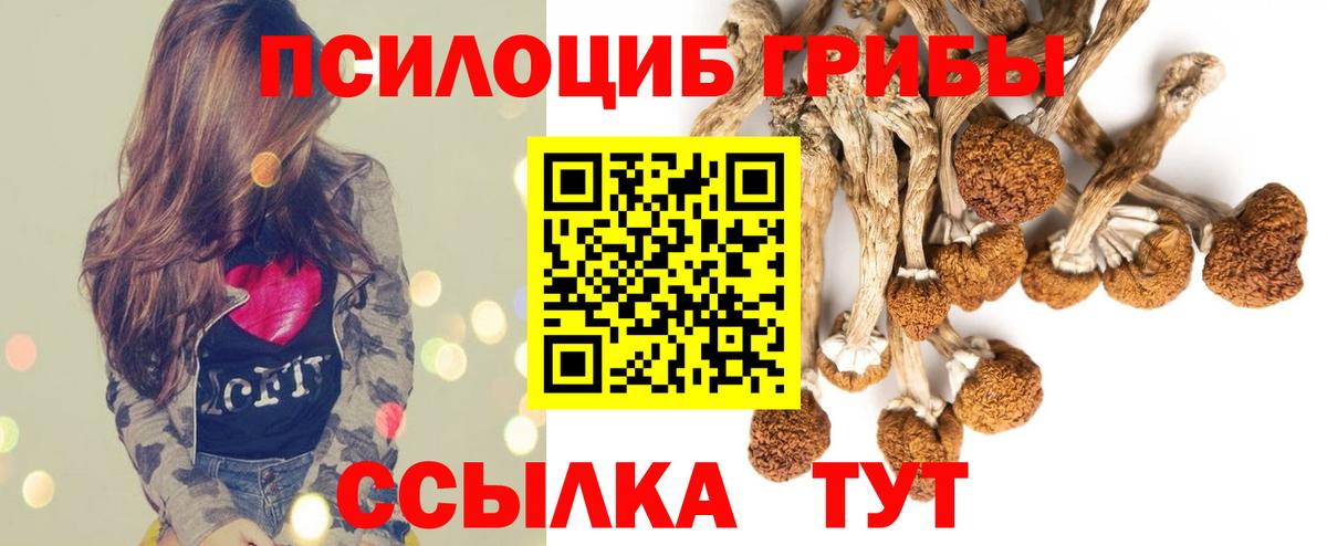 Междуреченск  Галлюциногенные грибы Magic Shrooms  Вход с VPN 